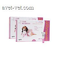 硕腾 大宠爱半年套包 2.5kg以下犬猫用 0.25ml*3支/盒，共2盒