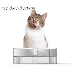 pidan双碗 S款猫碗套装带架子倾斜猫食盆 猫水碗 吃饭喝水的碗 灰色