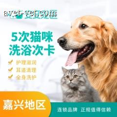 【嘉兴安安宠医】猫咪洗浴5次套餐 猫咪清洁洗浴5次卡 长毛猫0-2kg