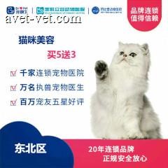 新春【新瑞鹏-东北区】猫咪美容次卡5送3 短毛