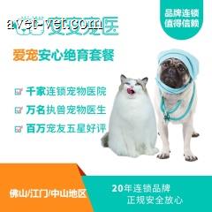 【安安宠医-佛山/中山/江门地区】爱宠安心呼麻绝育套餐 母猫绝育 佛山