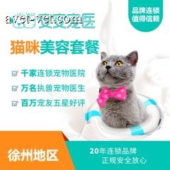 【徐州团餐】新春长毛猫咪洗浴3次卡 长毛猫咪3次卡 0-2kg