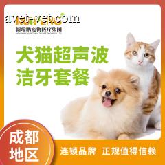【成都通用】犬猫超声波洁牙套餐（含生化） 犬猫超声波洁牙