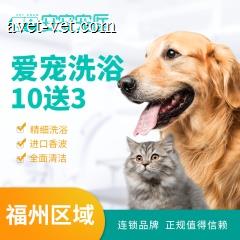 【安安宠医福州】爱宠狗狗洗澡10送3 超值狗狗洗澡 15.1-20kg