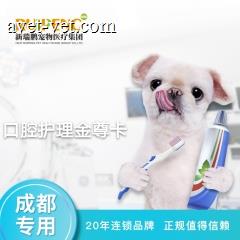 【新春】成都 犬 口腔护理(美容洁牙) 金尊卡 狗狗 15-25kg