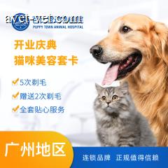 【广州芭比堂】保利开业店庆~猫咪美容套卡 剃毛5送2 猫·长毛