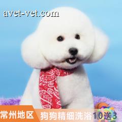 【常州瑞鹏、艾贝尔、安安、宠颐生】狗狗精细级洗浴次卡10送3 狗狗精细洗浴 0-3kg
