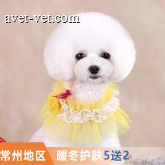常州全门店-暖冬护肤/驱虫防虫浴次卡5送2 短毛猫5-8kg