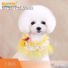 【阿闻上海】犬经典造型单次卡（高价版） 25≤W<30