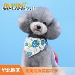 【新瑞鹏华北】狗狗洗浴美容次卡B套餐 狗狗洗浴买10赠12 3-6kg