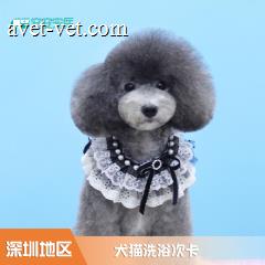 【深圳安安】精细10送1 20-25kg