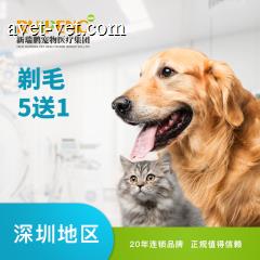 【深圳剃毛】新春剃毛套餐 5送1 6-10kg