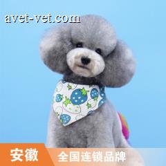 【新春安徽】狗狗暖冬护肤浴洗浴5送3次卡套餐