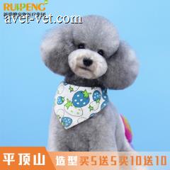 【平顶山爱诺】犬猫造型5送5，10送10 经典造型5送5 狗3-6kg