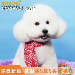 【许昌新店】犬猫洗浴5送5,10送10 洗浴买5送5 20-25kg狗狗