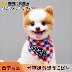 【西宁】犬猫经典造型套卡 5送4 短毛猫5-8kg