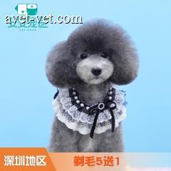 【深圳安安】剃毛5送1 犬6-10kg
