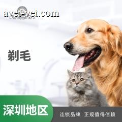 【深圳爱玩乐】剃毛10送2 犬3-6kg