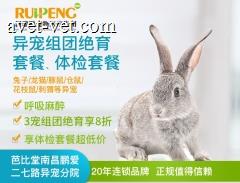 南昌芭比堂二七路、郑州中心异宠组团绝育套餐、体检套餐 单个异宠绝育套餐【公】3宠团享8折-江西