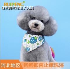 【河北】犬抑菌止痒功能性洗浴 5赠5 犬抑菌止痒 5赠5 6-10kg