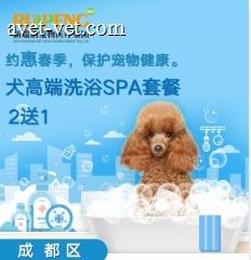 【成都】约惠春季 呵护宠物毛发 犬高端洗浴套餐2送1 狗6≤W<10