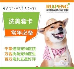 【无锡瑞鹏阳光、艾贝尔新体】洗美套卡 美毛护肤浴 10送8 猫：0-2kg（长）