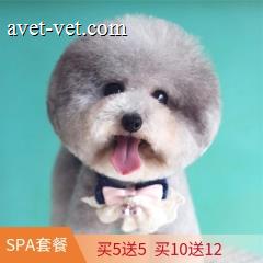 【停用】犬SPA套餐 买5赠5 10送12 狗狗spa买5送5 15-20kg
