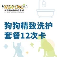 【甬绍温】狗狗精致洗护套餐12次卡 短毛犬 30-35kg