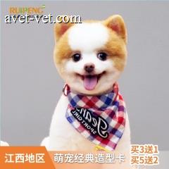 【江西通用】萌宠经典造型买3送1，买5送2 犬经典造型3送1 0-3kg