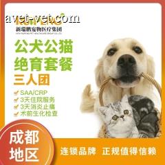 【成都】公犬/猫去势全面护理三人团 ≤5kg