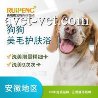 犬精细洗浴(>40KG)