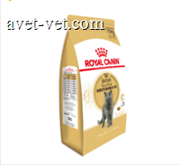 皇家英国短毛猫成猫粮10KG 10kg