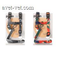 pidan 猫咪牵引绳套装猫咪H型背带遛猫绳防挣脱猫链子宠物用品 彩色