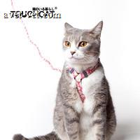 Touchcat ins网红猫咪胸背牵引绳 防挣脱 溜猫必备 深蓝 S