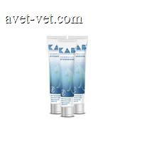 科安贝 猫用肠道健康营养膏 80g/支