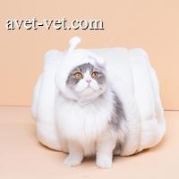 尾巴生活小蜗软猫窝-白色 1个